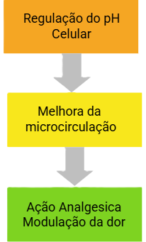 infografico dos benefícios do biomagnetismo medicinal na dor de coluna