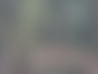 "No thanks, this lunch is good."