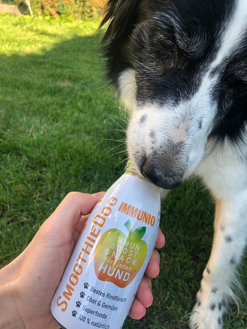 Miniaturbild: SmoothieDog Immunio (Rind) 250ml