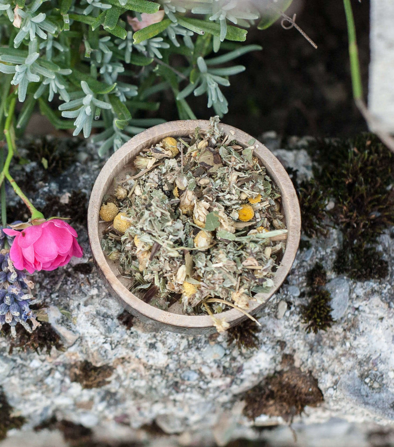 Tota vi naturae Merlin & Mim