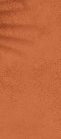 hintergrund natuerlich in balance doterra karin scholtke.jpg