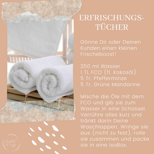 Erfrischungstücher.png
