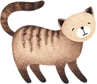 Drawing of Cat