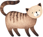 Drawing of Cat