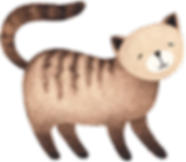 Drawing of Cat