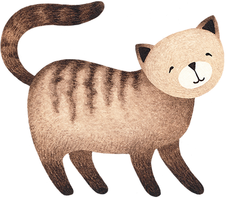 Drawing of Cat