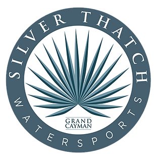 Silverthatch Proper Logo.png