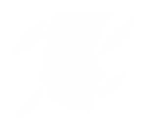 B.I.G SOUL (Logo #14-2).png
