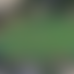 Lake Shore Park Cleanup With Emily Beach, Community Programs Manager at Chicago Parks Foundation