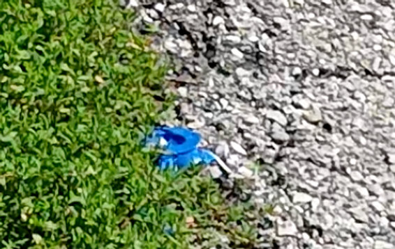 Screen Shot 2024-07-15 at 10.57.49 PM.png