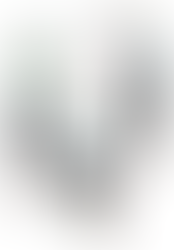 絵文字で表すオランダ都市たち の絵