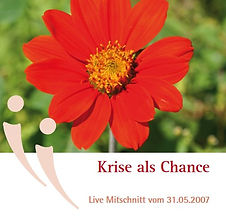 Krise als Chance.jpg