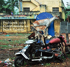 Probleme sind Komplimente.jpg