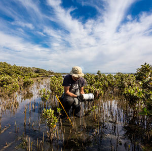 TED’S TAKE: WE ALL HAVE A ROLE TO PLAY IN CLIMATE CHANGE RESEARCH