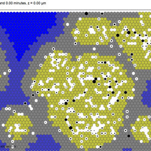 JKTG FOUNDATION EXTENDS FUNDING TO FURTHER PHYSICELL PROJECT