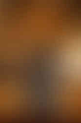 V Yaka Tek Düğmeli Astarlı Derin Kol Detaylı Gri Uzun Yelek