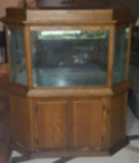 75 Gallon Aquarum with stand and canopy