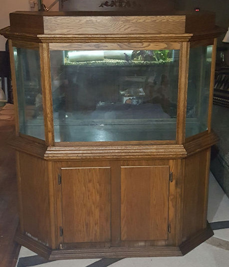 75 Gallon Aquarum with stand and canopy