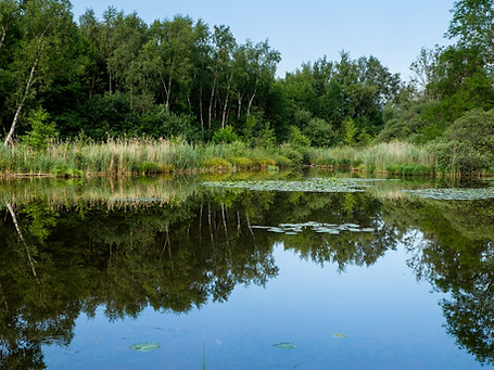 Trous de Leu 2019.jpg