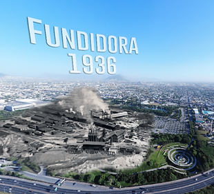 Memoria-de-elefante.-panorámica-1100x490.png
