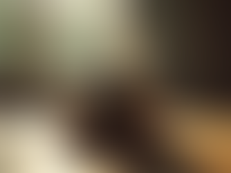 Affordable Tours to Korea and Japan Awaits You