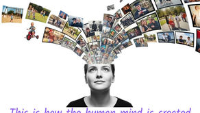 How is the human mind created