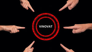 Vinovăție