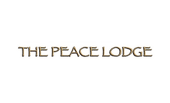 LOGO PARAÍSO (11).png