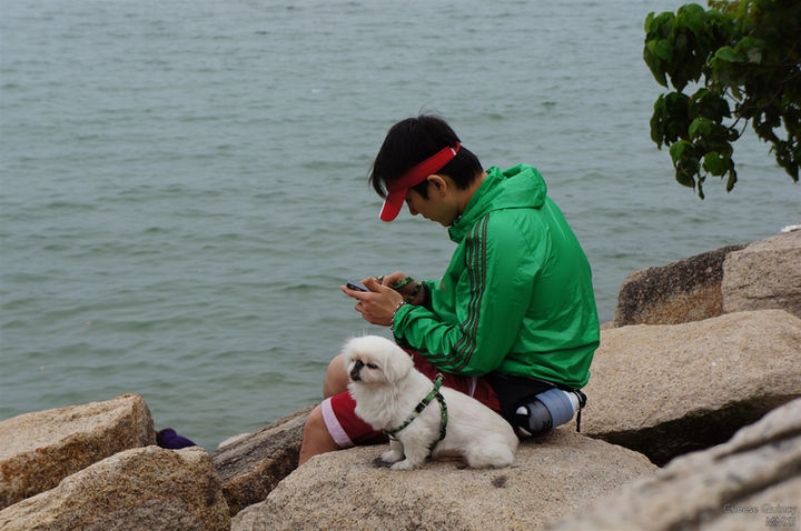 Man sitting on a rock with a wihite Pekingese at seaside, looking at his phone