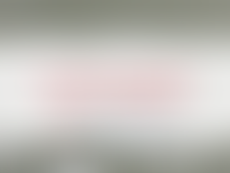 Un sistema de salud mental como el de Dinamarca