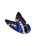 Untitled design (32).png