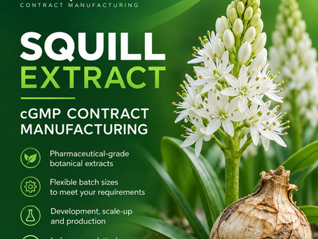 Bulk Squill Extract (Urginea Maritima) Solution and Squill oxymel BP