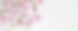 FLOWERHEADER_edited.jpg