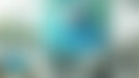 Sales Lead - Data Validation Software