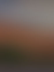 History of an Icon: The Background of the Continental Gin Building