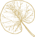 schellogo_edited.png