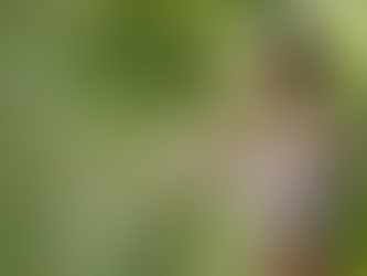 Morning Glow Ritual #1