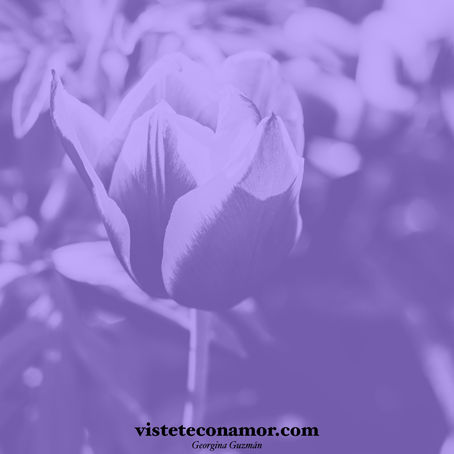 Cada vez que juzgas, pierdes...