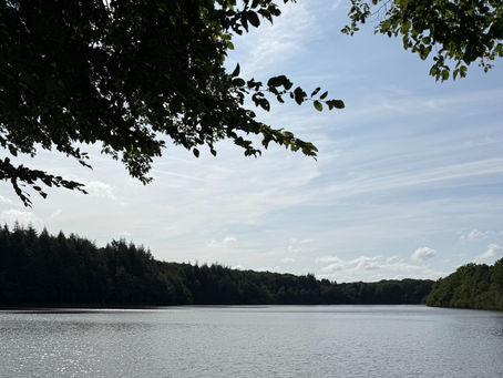 Photo étang de Soligny, évoquant le silence et l'apaisement