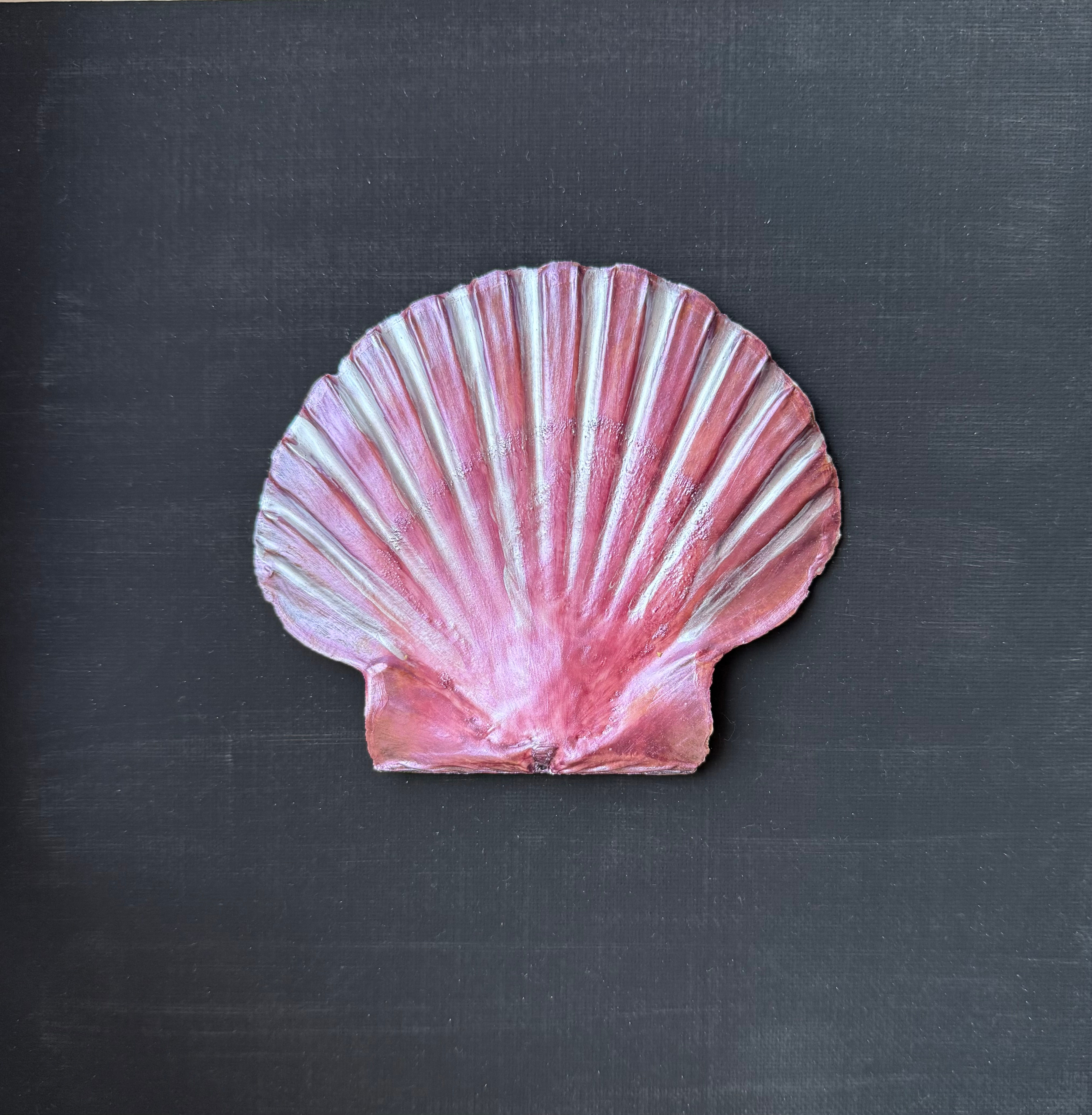 Tableau Coquillage mauve sur fond noir