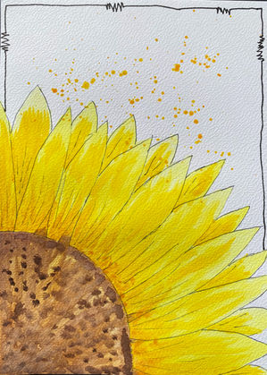 Tournesol gros plan