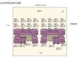 青埔建案平面圖及店面平面圖-A19生活圈-聯上3Q