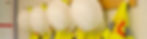 website row of hard hats (1).JPG
