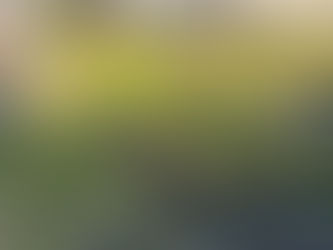 花壇🌷の草刈りと剪定✂️