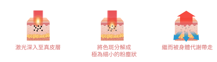 新增副標題 (11)_edited.png