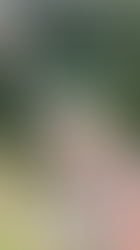 Liberação de Trecho em Pantano Grande