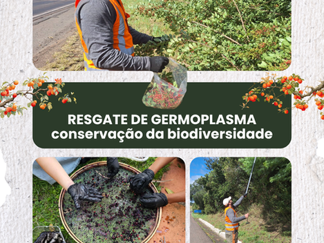 Resgate de Germoplasma
