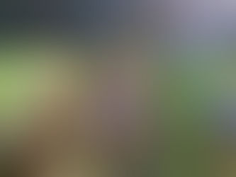 Mesajul Tarotului pentru 15 Aprilie 2021