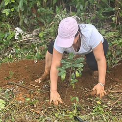 SIEMBRA 1_edited.jpg