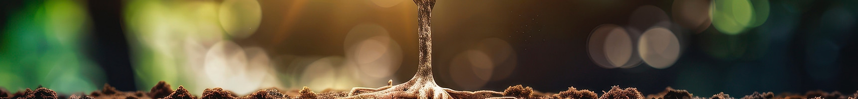 Arbol portada_edited.jpg